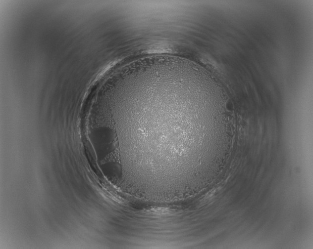 X0000060780298200511101347