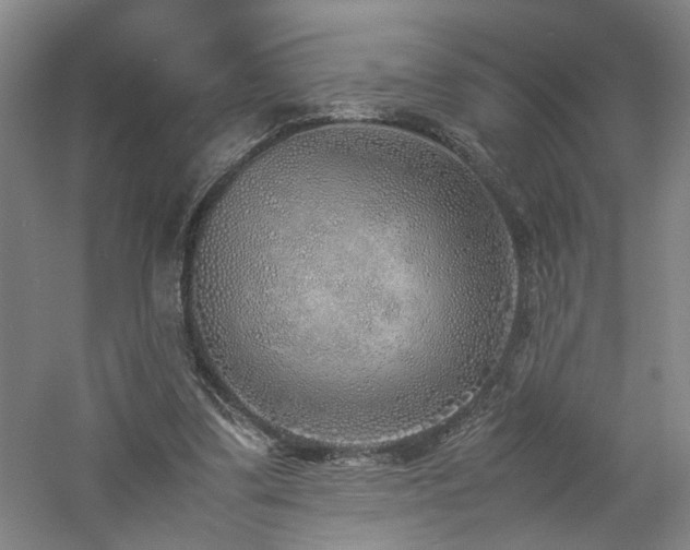 X0000060780299200511101347