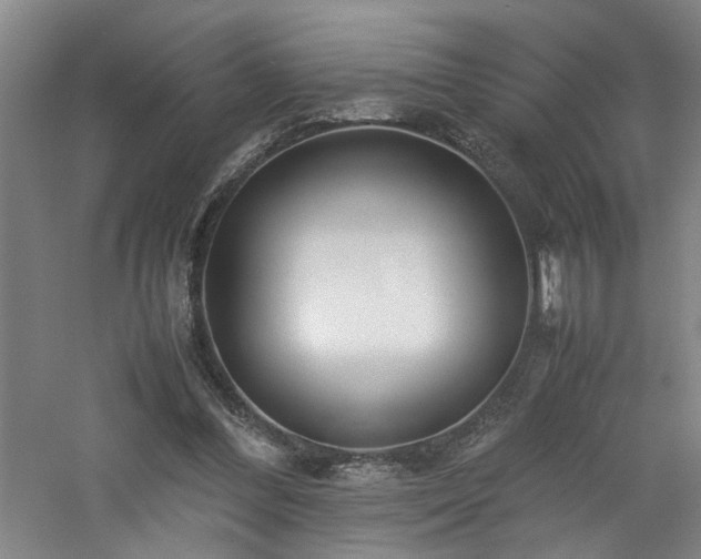 X0000060780300200511101347