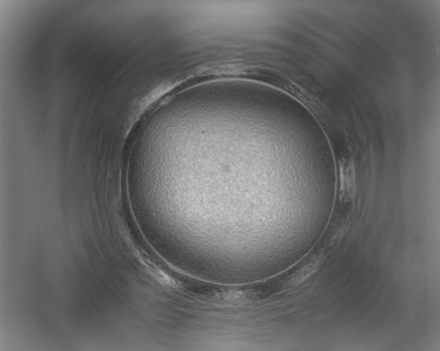 X0000060780301200511101347