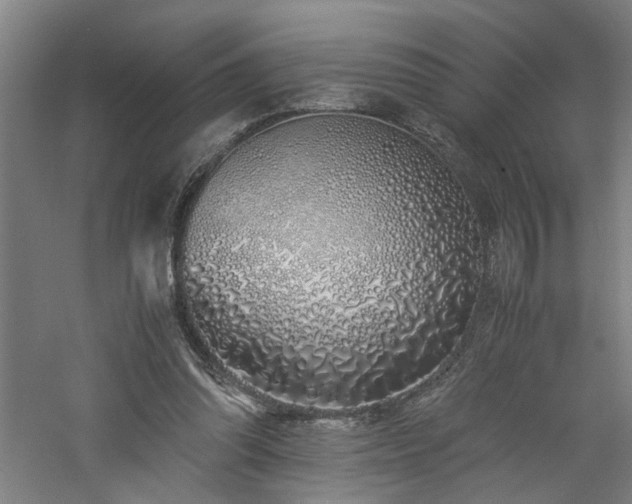 X0000060780302200511101347