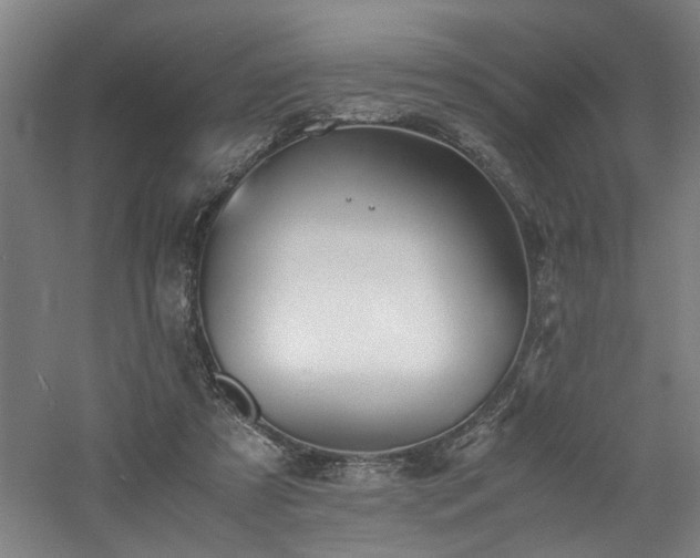 X0000060780305200511101347