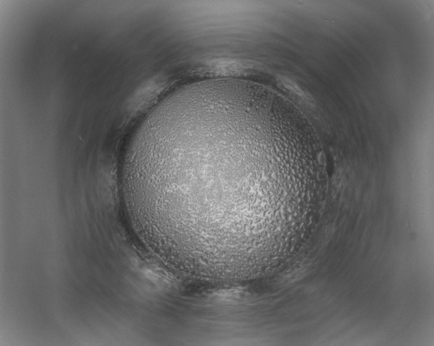 X0000060780306200511101347