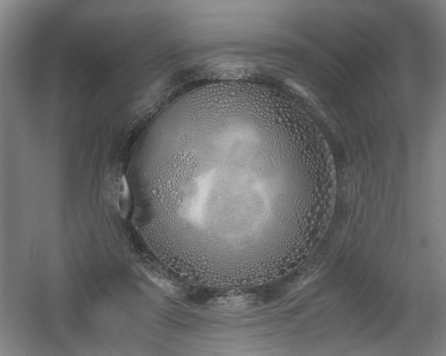 X0000060780307200511101346