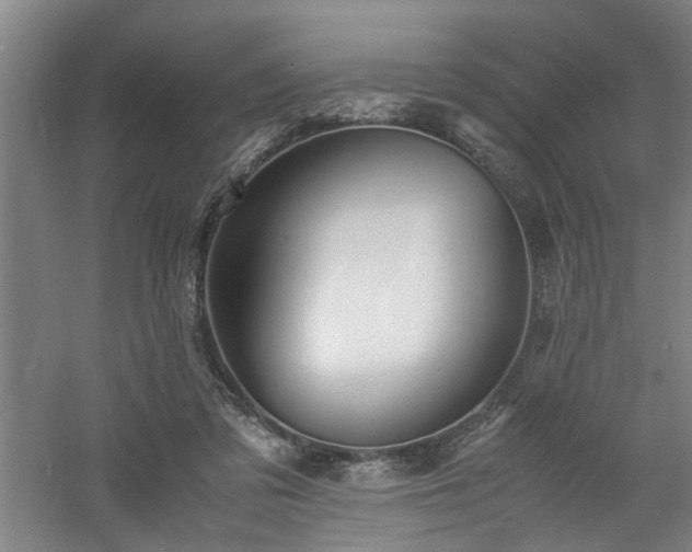 X0000060780309200511101346