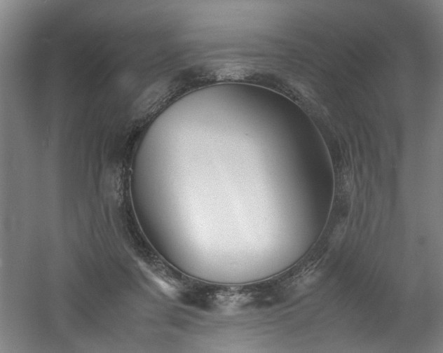 X0000060780311200511101346