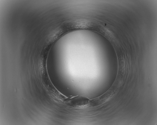 X0000060780312200511101346