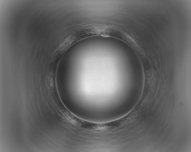 X0000060780313200511101346