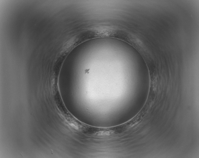 X0000060780314200511101346