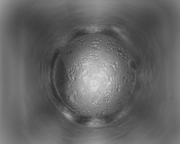 X0000060780315200511101346