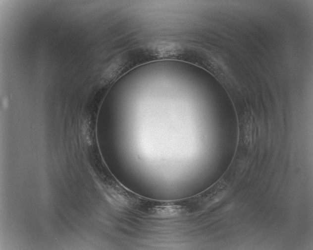 X0000060780316200511101346