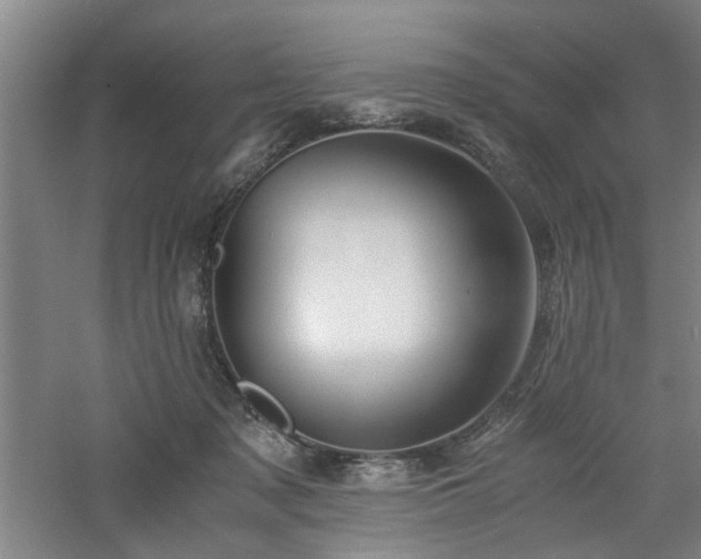 X0000060780317200511101346