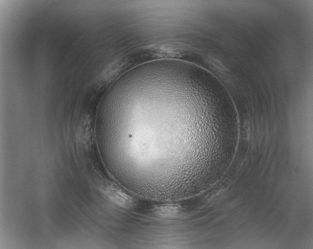 X0000060780318200511101346