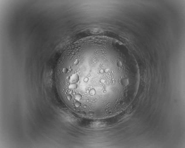 X0000060780319200511101346