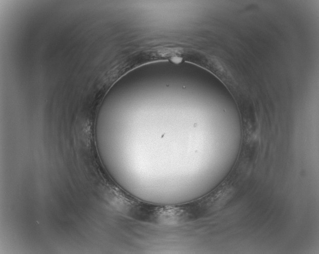 X0000060780321200511101346