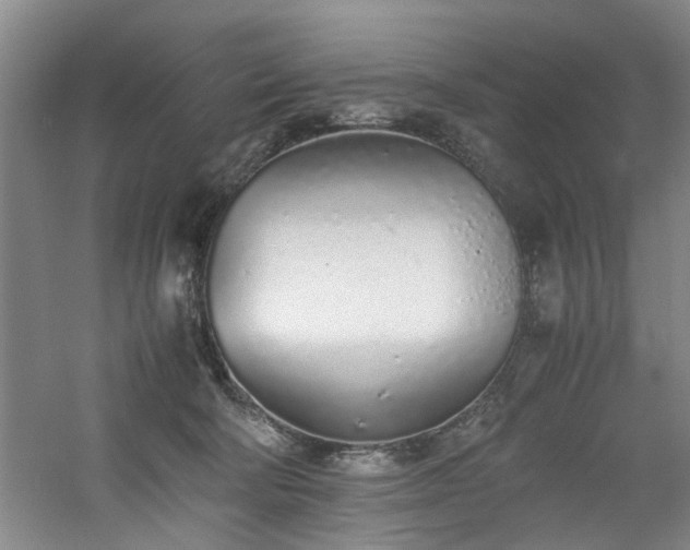 X0000060780322200511101346