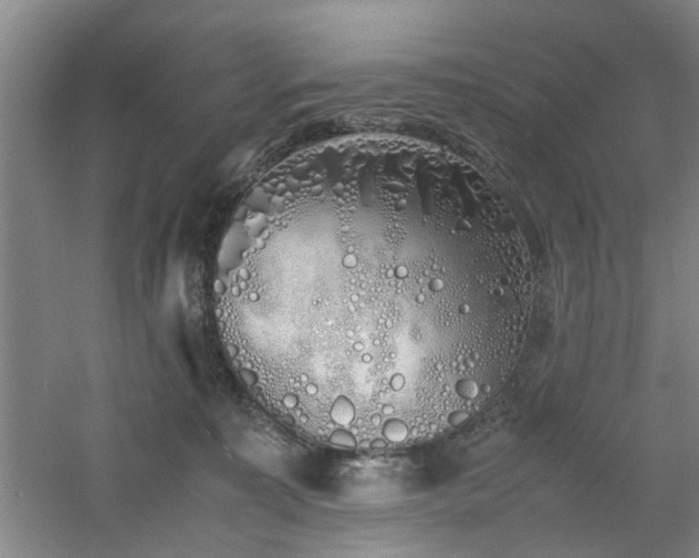 X0000060780323200511101346