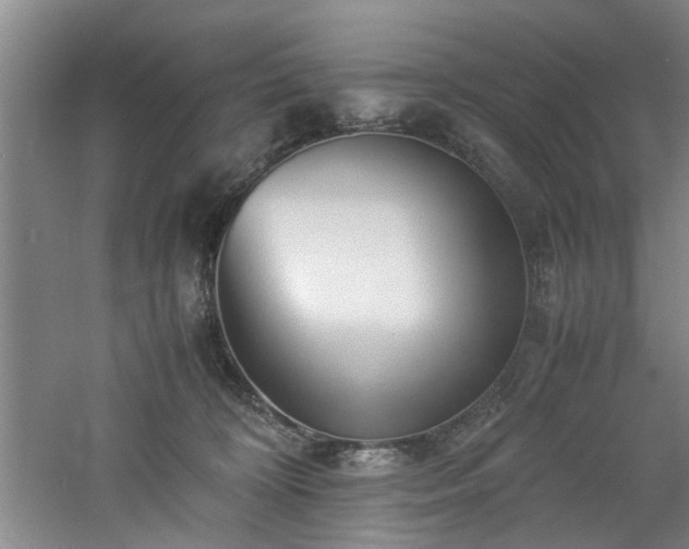 X0000060780324200511101346