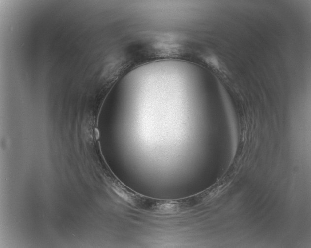 X0000060780325200511101346