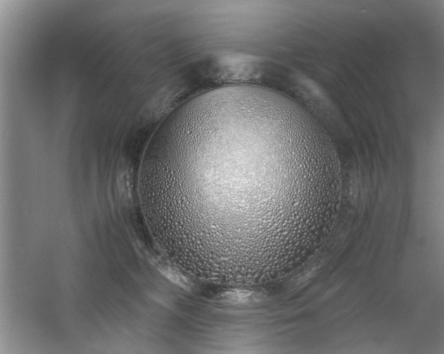 X0000060780326200511101346