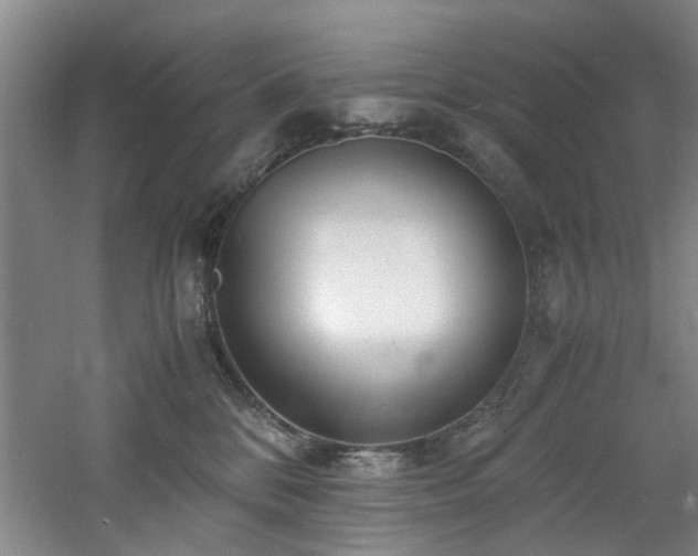 X0000060780328200511101346