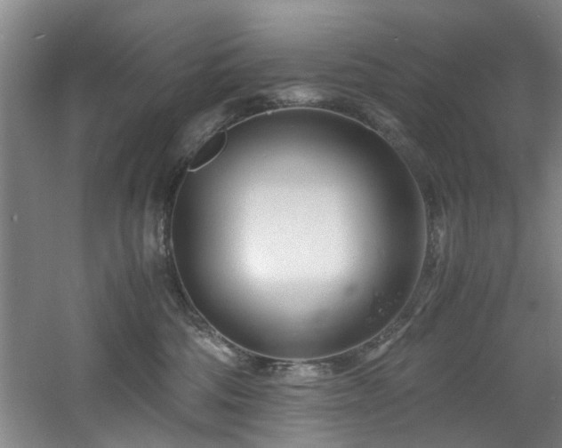 X0000060780330200511101346