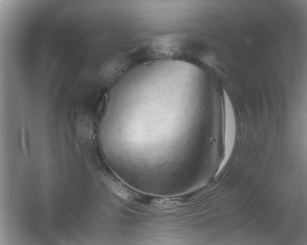 X0000060780331200511101346