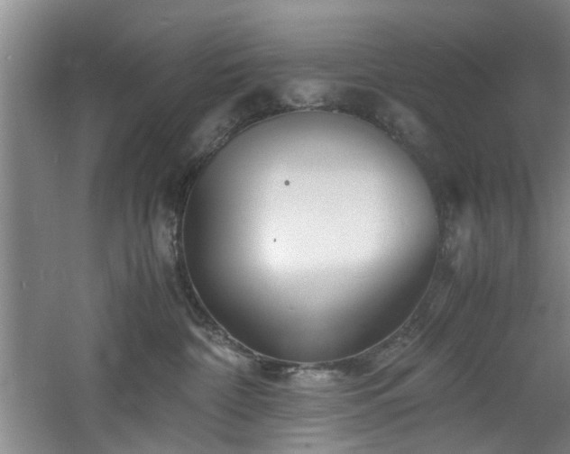 X0000060780332200511101346