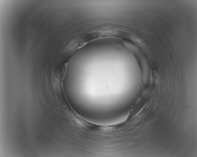 X0000060780333200511101346