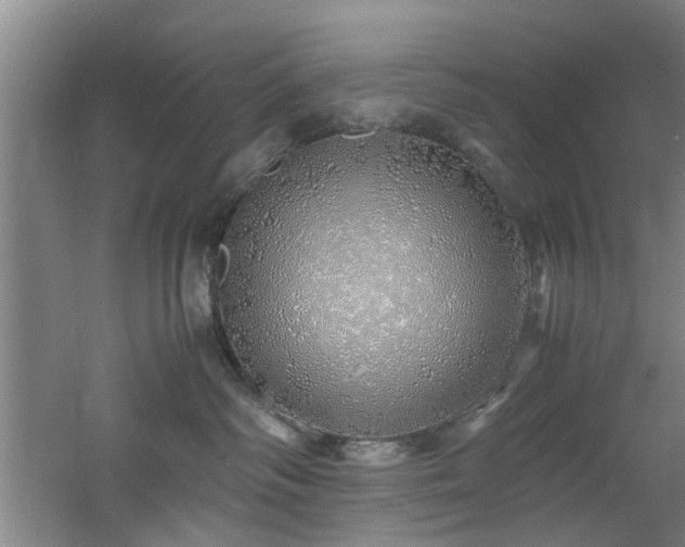 X0000060780334200511101346