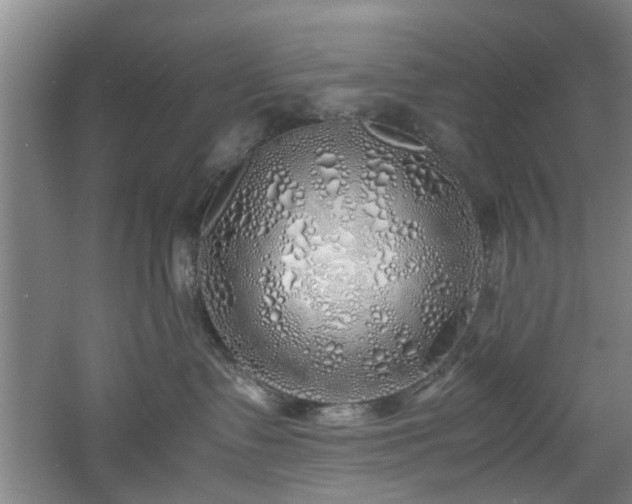 X0000060780335200511101346