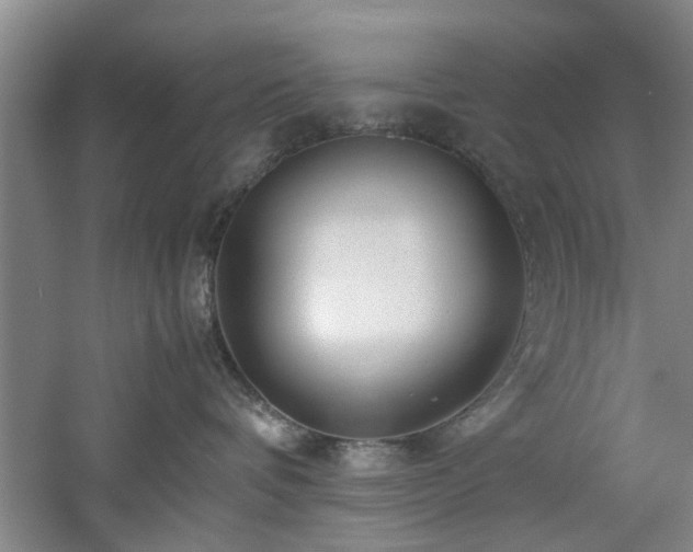 X0000060780336200511101346