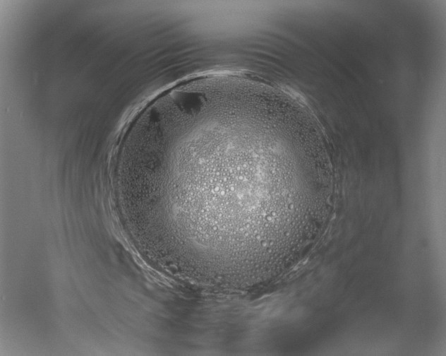 X0000060780337200511101345