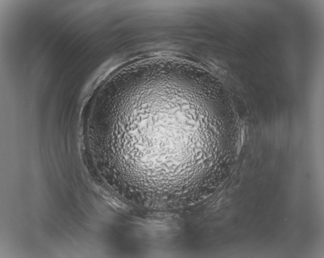 X0000060780339200511101345