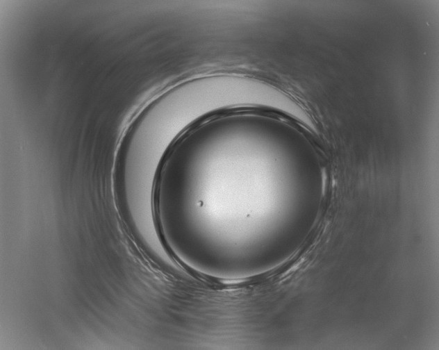 X0000060780340200511101345