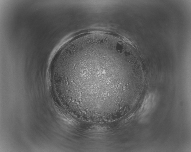 X0000060780343200511101345