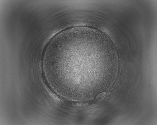 X0000060780345200511101345