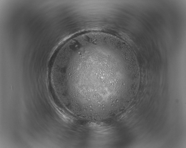 X0000060780346200511101345