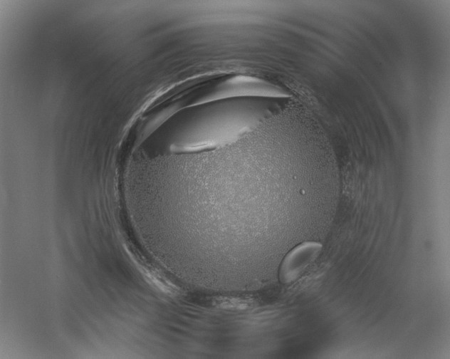 X0000060780347200511101345