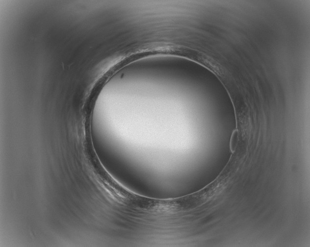 X0000060780350200511101345