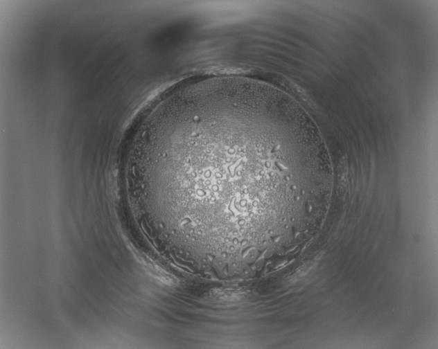 X0000060780351200511101345