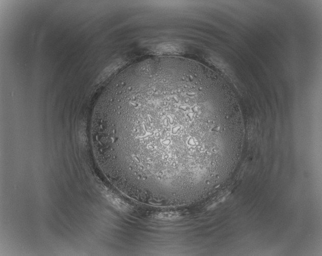 X0000060780353200511101345