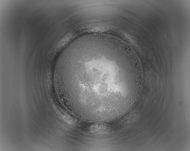 X0000060780354200511101345