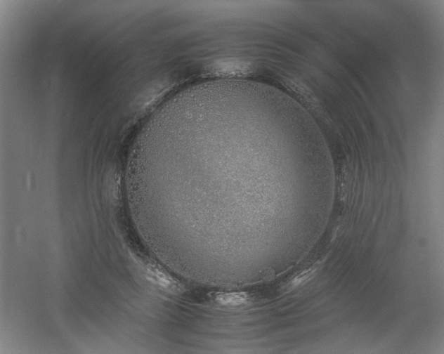 X0000060780355200511101345