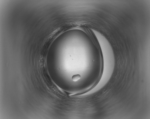 X0000060780356200511101346