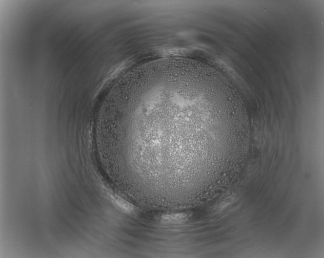 X0000060780357200511101346