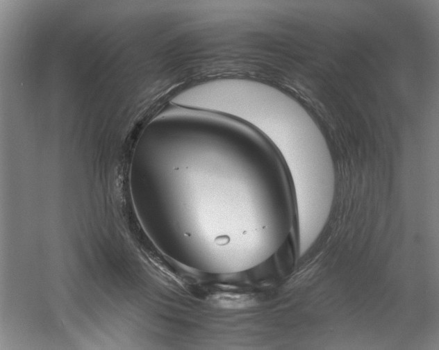 X0000060780359200511101346