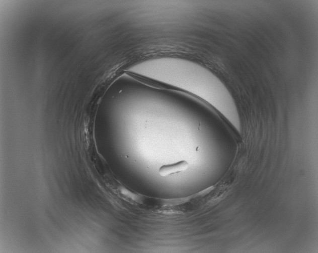 X0000060780360200511101346