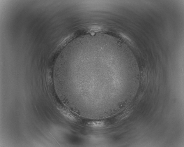 X0000060780361200511101346