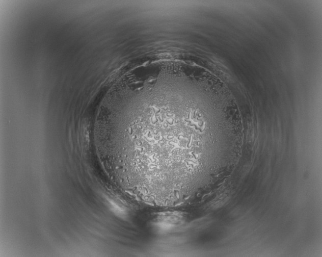 X0000060780363200511101346